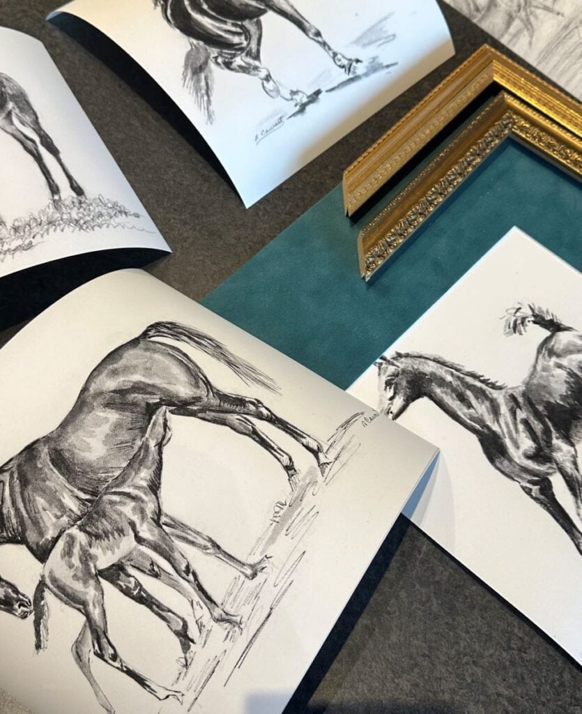Collection of horse sketches and framed artwork for creative home decor.