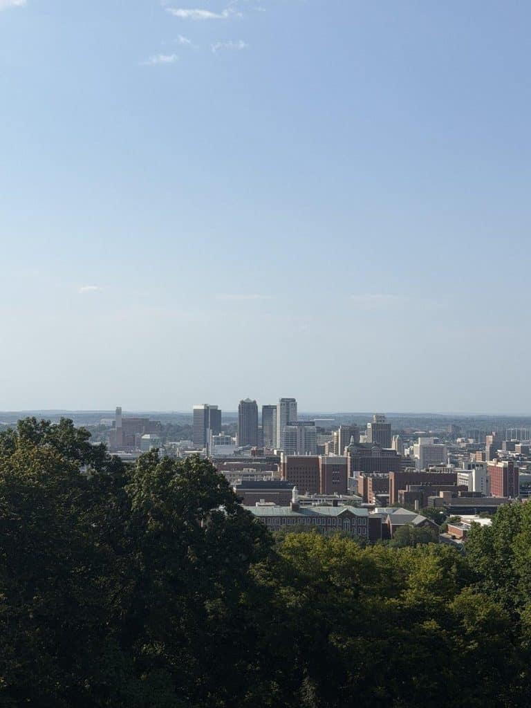 Panoramic city skyline with tall buildings and greenery in the foreground.